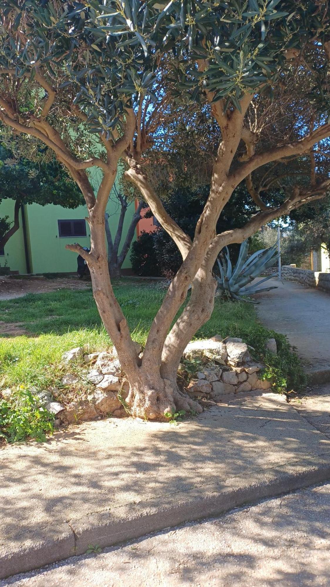 Dairos2 Mali Lošinj Exterior foto